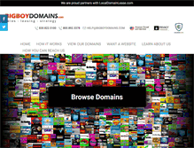 Tablet Screenshot of bigboydomains.com